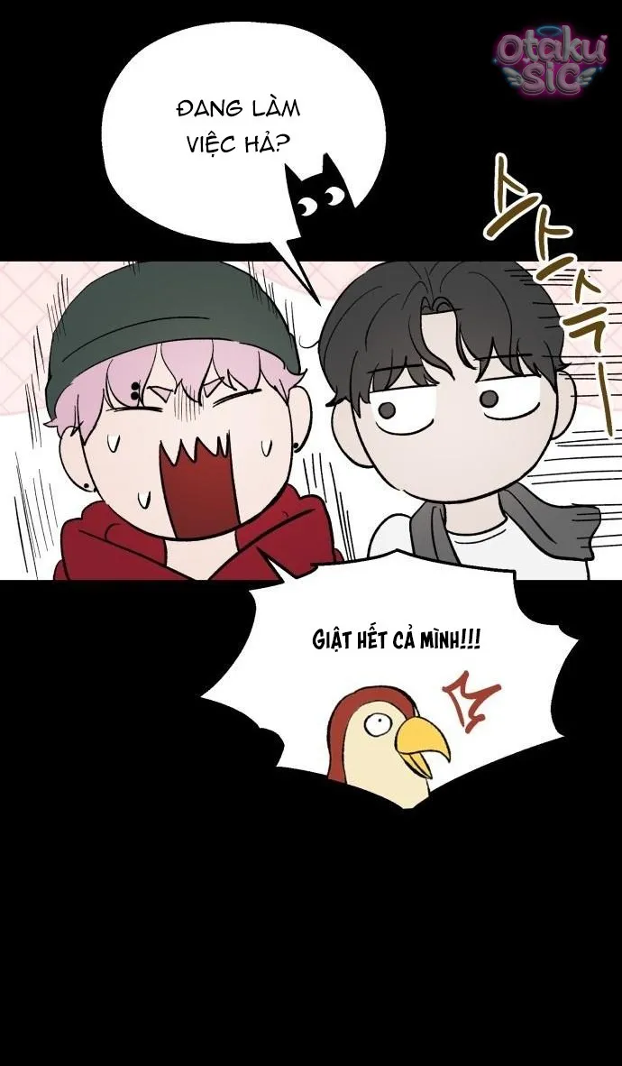 Con Rối Thần Tượng - Chap 3 - Trang 15