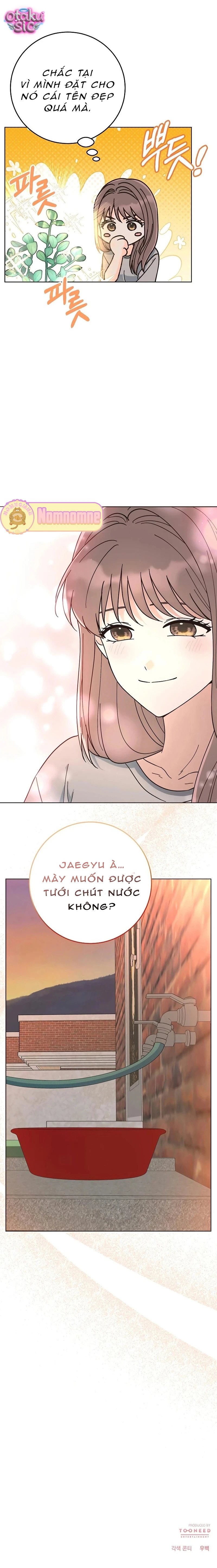 Cơn sốt mùa hạ - Chap 7 - Trang 19