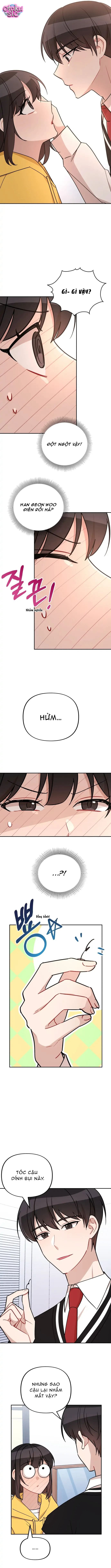 Cú Đấm Tình Yêu - Chap 5