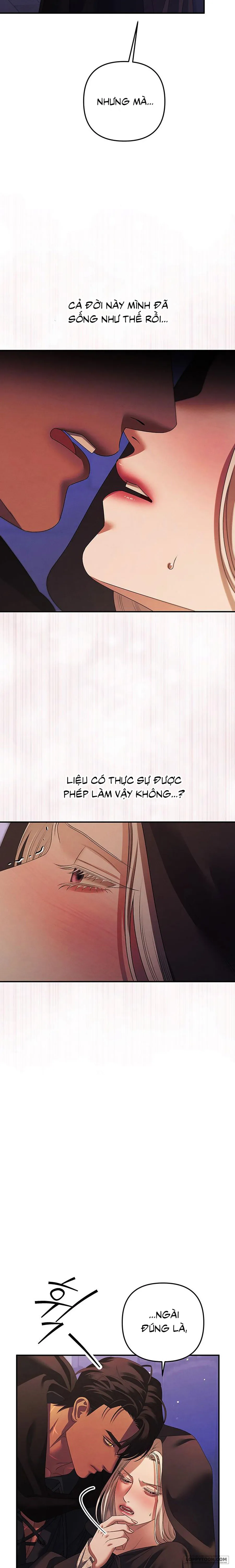 Cuộc Hôn Nhân Bị Cướp Đoạt - Chap 15