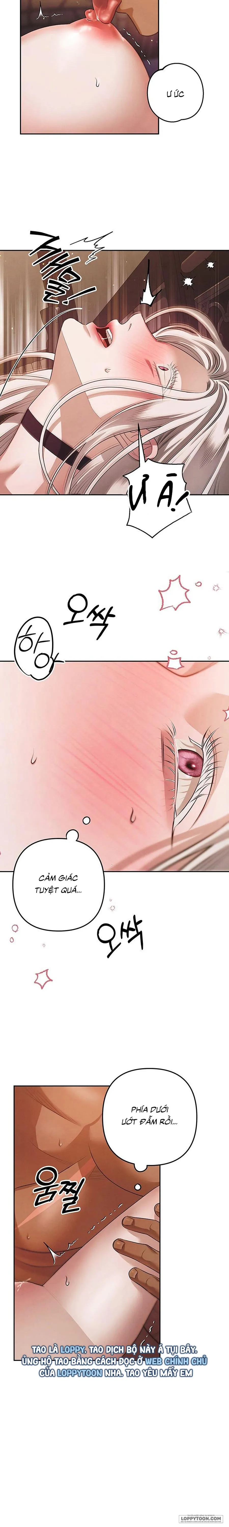 Cuộc Hôn Nhân Bị Cướp Đoạt - Chap 2 - 🔞🔞