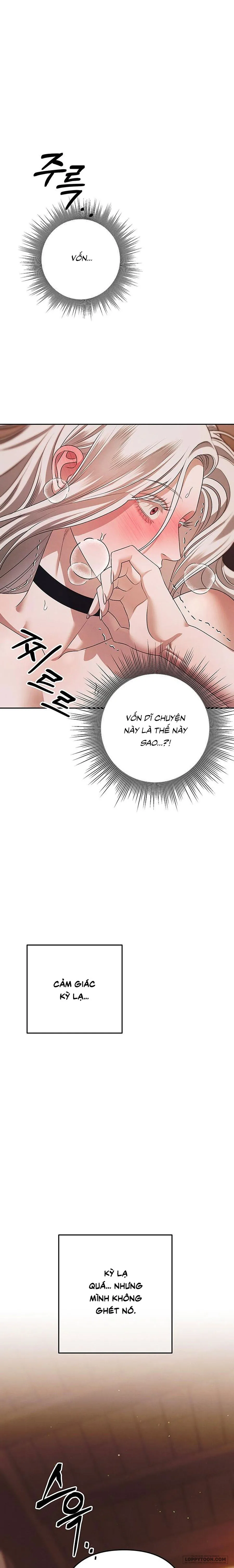 Cuộc Hôn Nhân Bị Cướp Đoạt - Chap 2 - 🔞🔞