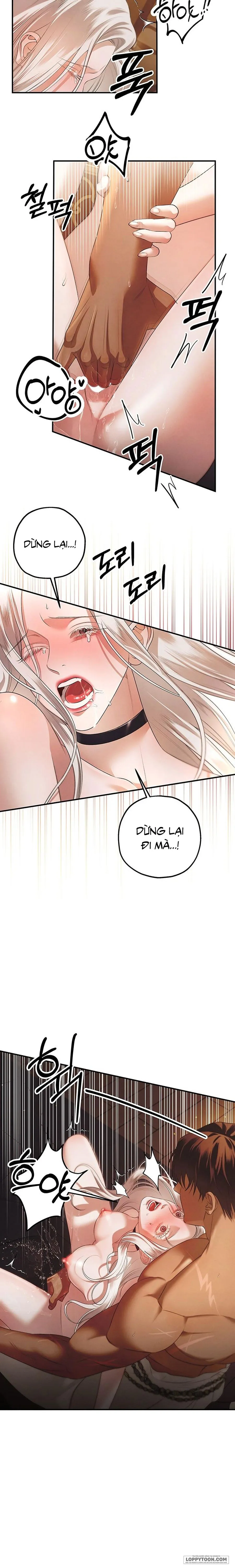 Cuộc Hôn Nhân Bị Cướp Đoạt - Chap 3 - 🔞🔞🔞