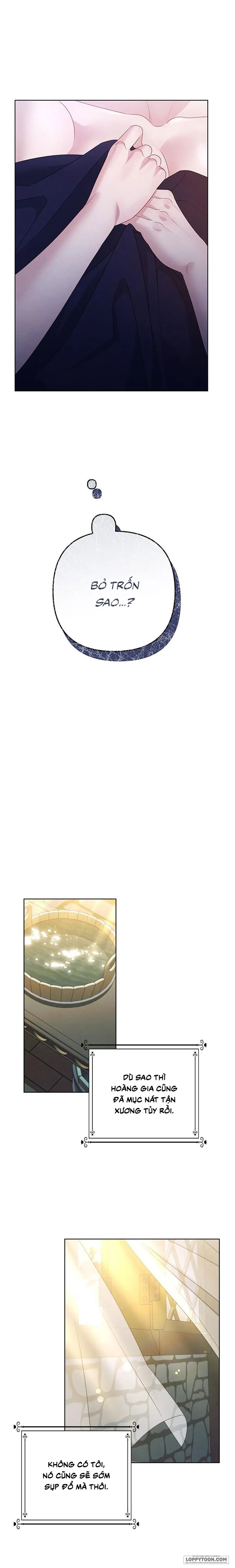 Cuộc Hôn Nhân Bị Cướp Đoạt - Chap 5 - 🔞🔞🔞