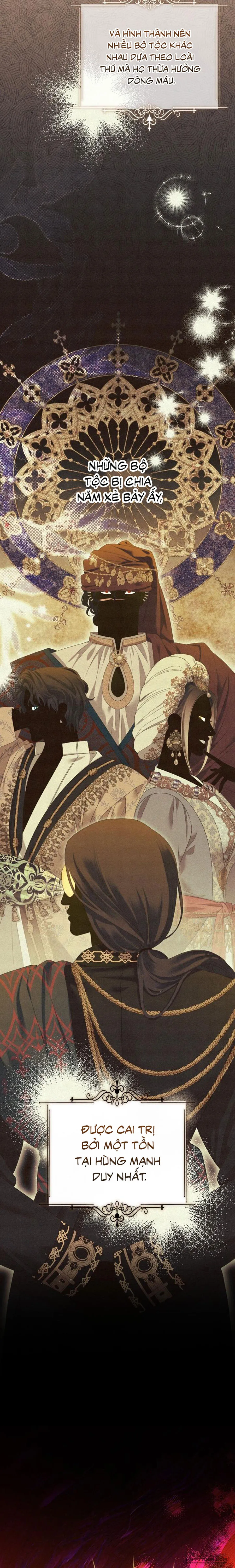 Cuộc Hôn Nhân Bị Cướp Đoạt - Chap 8