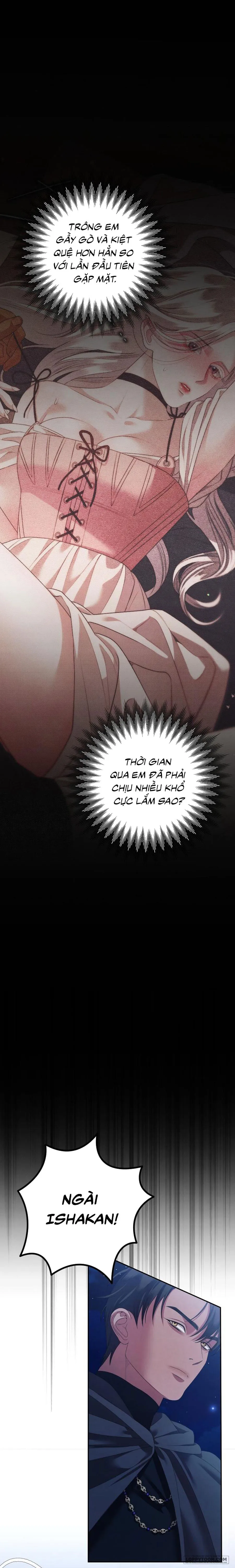Cuộc Hôn Nhân Bị Cướp Đoạt - Chap 8