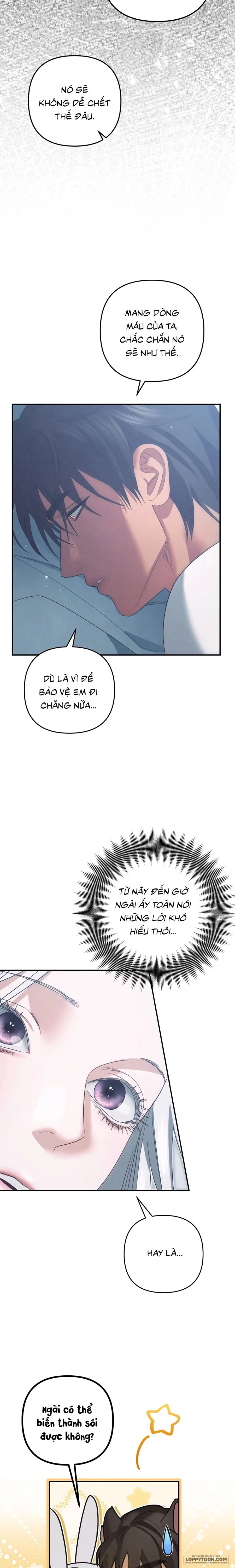 Cuộc Hôn Nhân Bị Cướp Đoạt - Chap 96 - Trang 13