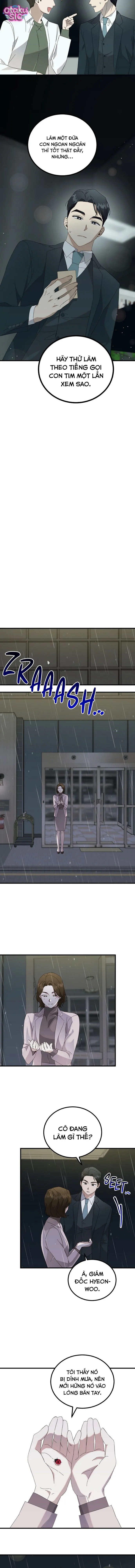 Cuộc Ly Hôn Rực Rỡ - Chap 2