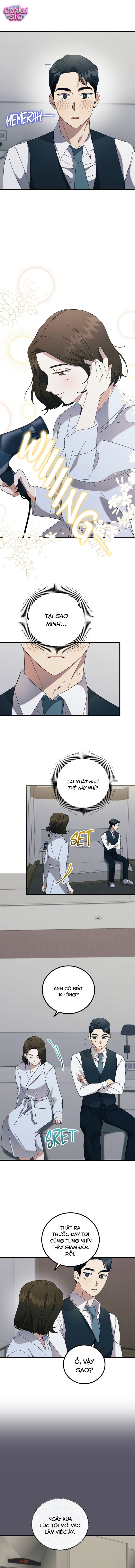 Cuộc Ly Hôn Rực Rỡ - Chap 3