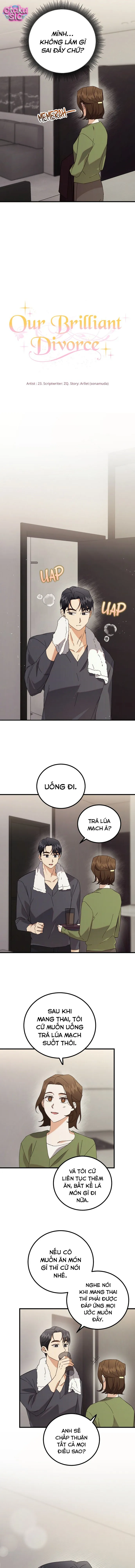Cuộc Ly Hôn Rực Rỡ - Chap 8