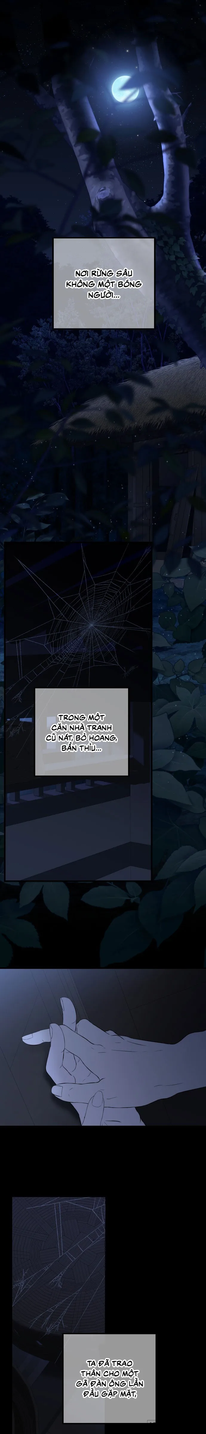 Cuộc Tuyển Chọn Vương Phi Triều Joseon - Chap 49 - Trang 0