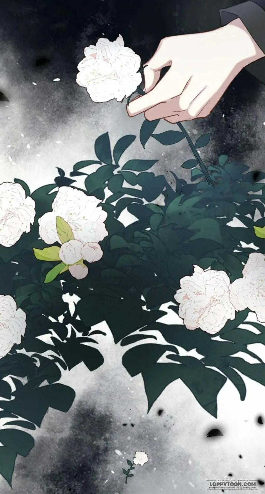 Dâng Cá Muối Cho Sư Tổ - Chap 29 - Trang 24