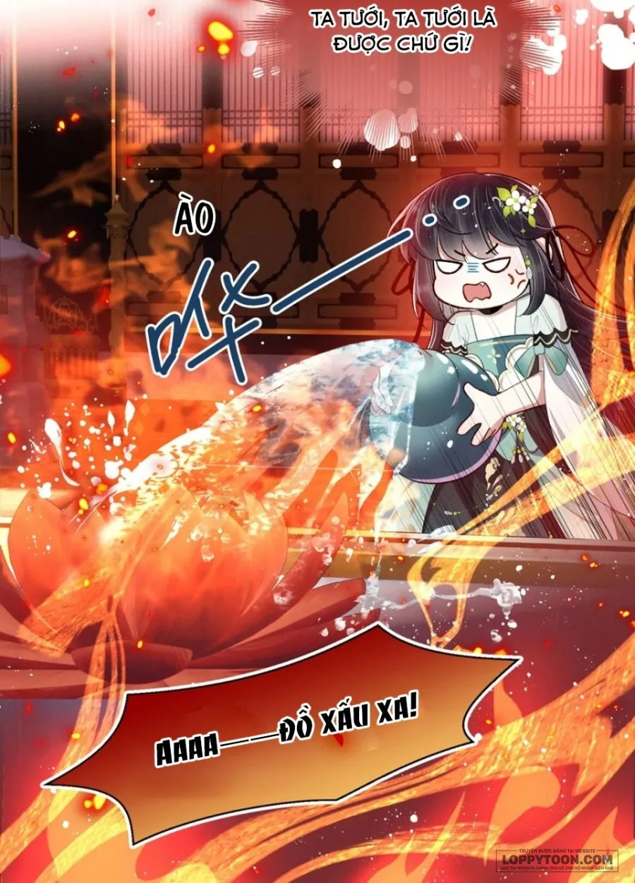 Dâng Cá Muối Cho Sư Tổ - Chap 8 - Trang 21