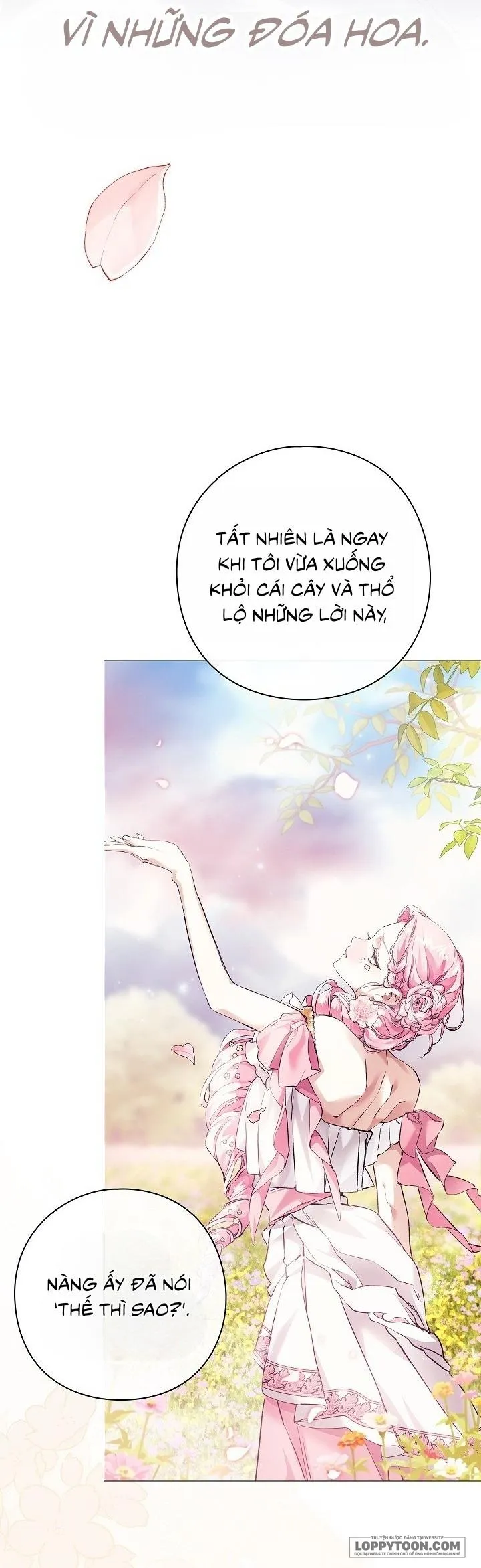 Dành Cho Các Nữ Thần: Dành Cho Daphne - Chap 19 - Trang 27