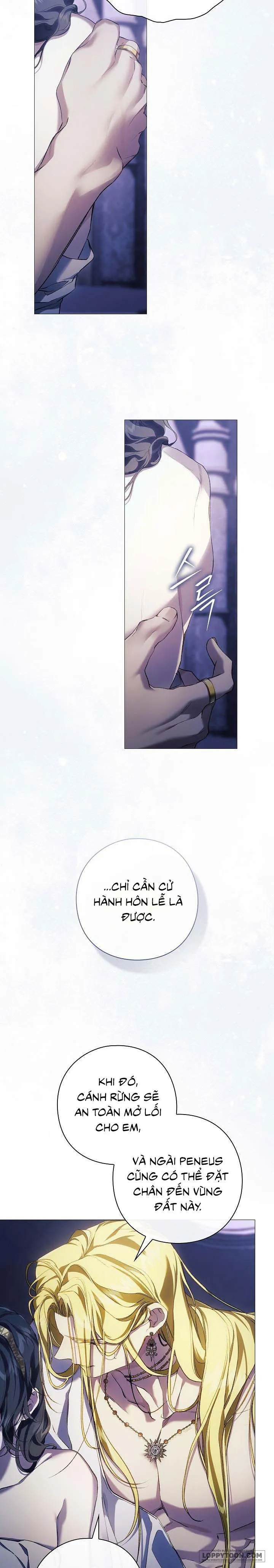 Dành Cho Các Nữ Thần: Dành Cho Daphne - Chap 26 - Trang 16