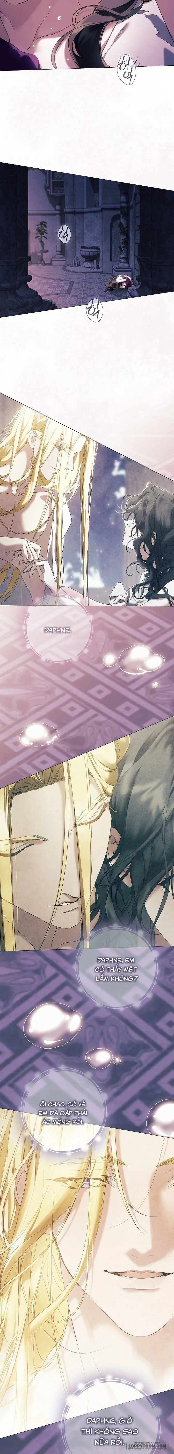 Dành Cho Các Nữ Thần: Dành Cho Daphne - Chap 28 - Trang 19