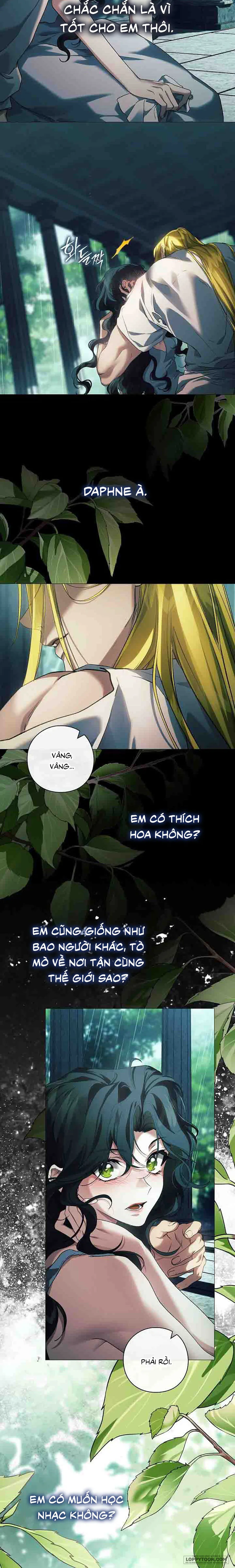 Dành Cho Các Nữ Thần: Dành Cho Daphne - Chap 36 - Trang 12