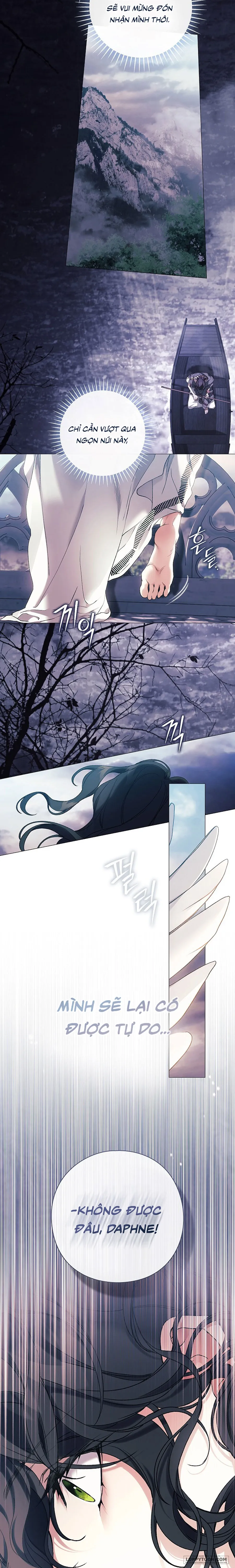 Dành Cho Các Nữ Thần: Dành Cho Daphne - Chap 38 - Trang 12