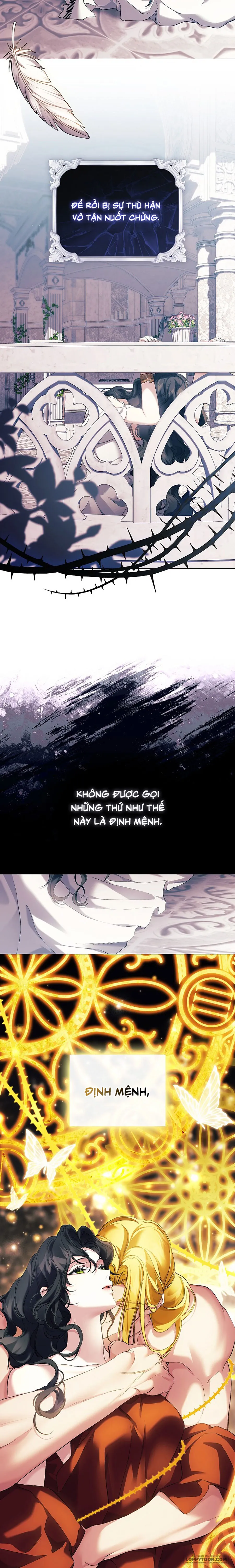 Dành Cho Các Nữ Thần: Dành Cho Daphne - Chap 38 - Trang 8