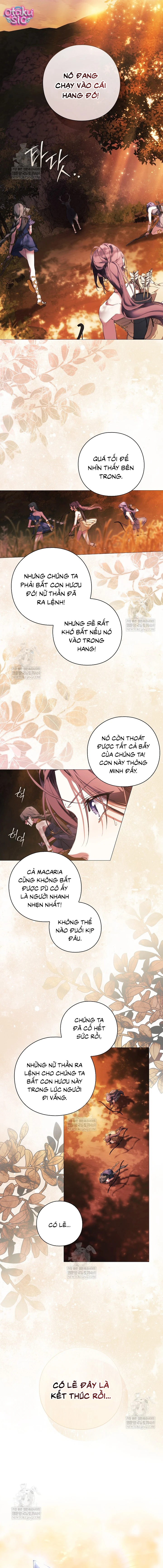 Dành Cho Nữ Thần: Dành Cho Daphne - Chap 1 - Trang 2