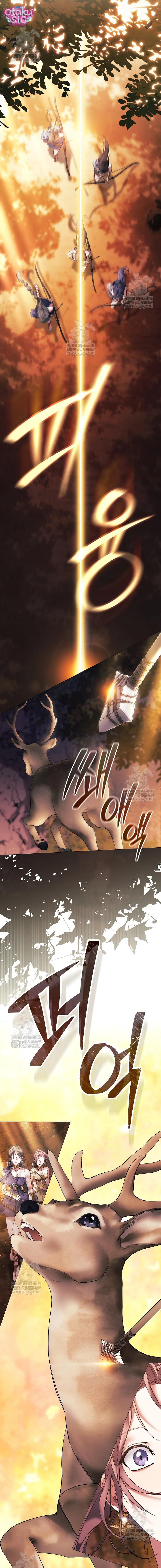 Dành Cho Nữ Thần: Dành Cho Daphne - Chap 1 - Trang 4