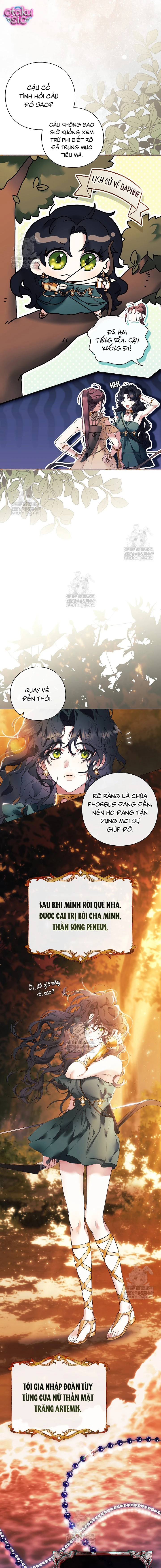 Dành Cho Nữ Thần: Dành Cho Daphne - Chap 1 - Trang 6