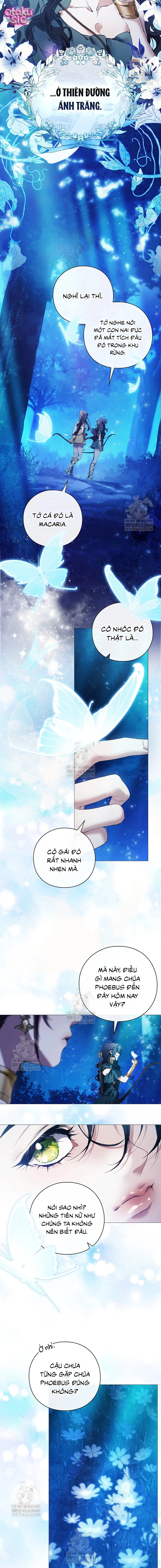 Dành Cho Nữ Thần: Dành Cho Daphne - Chap 1 - Trang 8