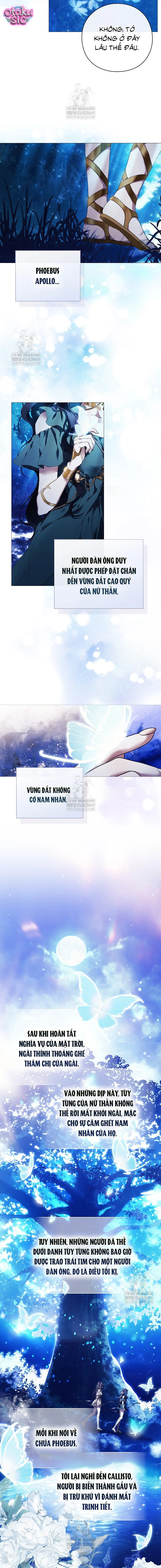 Dành Cho Nữ Thần: Dành Cho Daphne - Chap 1 - Trang 9