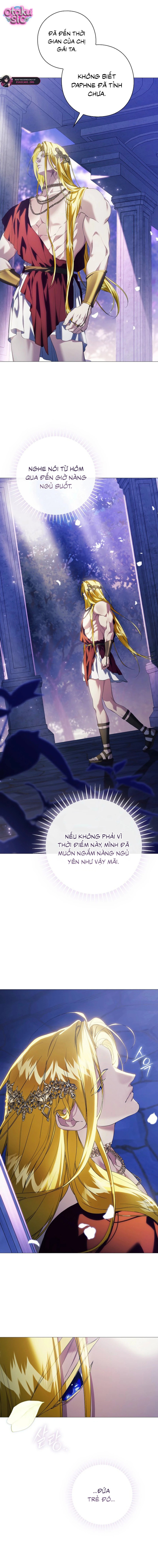 Dành Cho Nữ Thần: Dành Cho Daphne - Chap 11 - Trang 15
