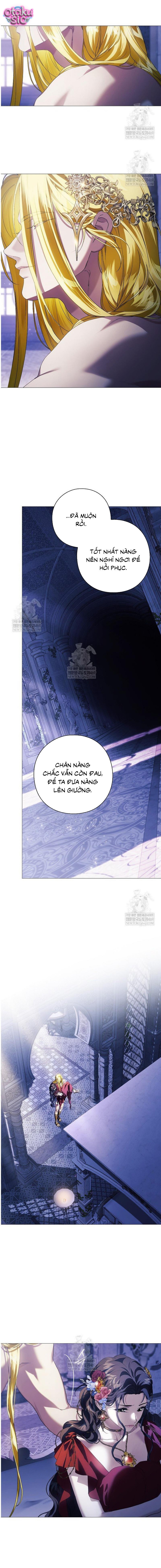 Dành Cho Nữ Thần: Dành Cho Daphne - Chap 12 - Trang 5