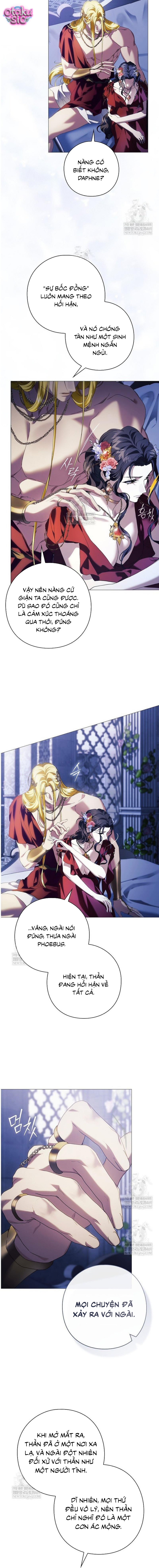 Dành Cho Nữ Thần: Dành Cho Daphne - Chap 12 - Trang 9