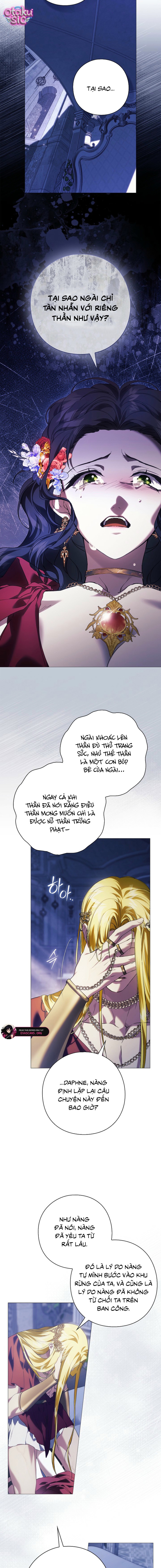Dành Cho Nữ Thần: Dành Cho Daphne - Chap 13 - Trang 2