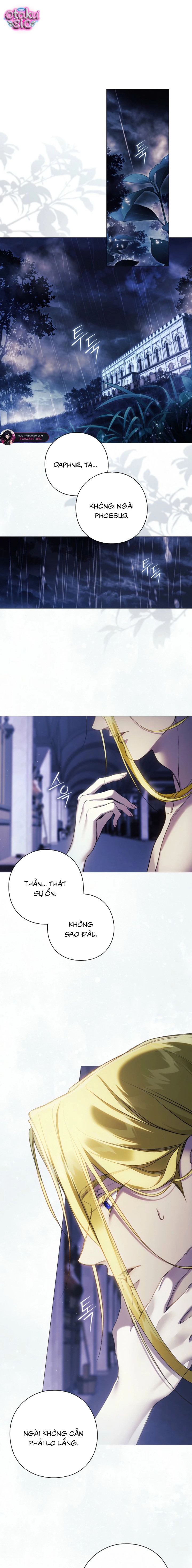 Dành Cho Nữ Thần: Dành Cho Daphne - Chap 21 - Trang 1