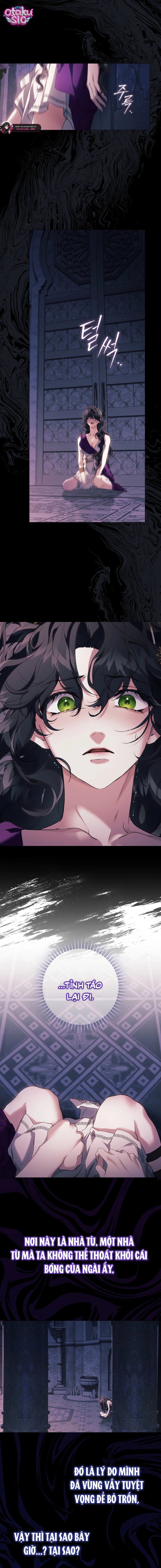 Dành Cho Nữ Thần: Dành Cho Daphne - Chap 26 - Trang 12