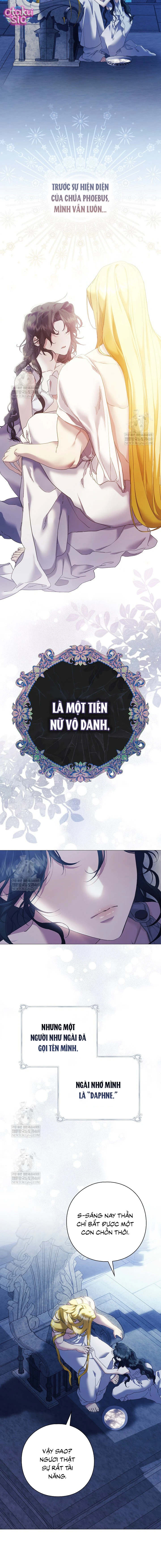 Dành Cho Nữ Thần: Dành Cho Daphne - Chap 3 - Trang 2