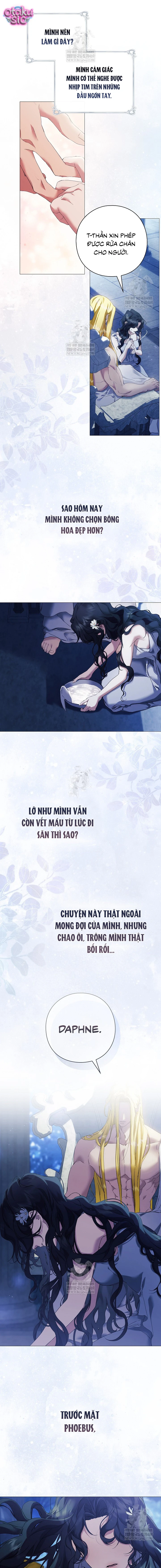 Dành Cho Nữ Thần: Dành Cho Daphne - Chap 3 - Trang 3