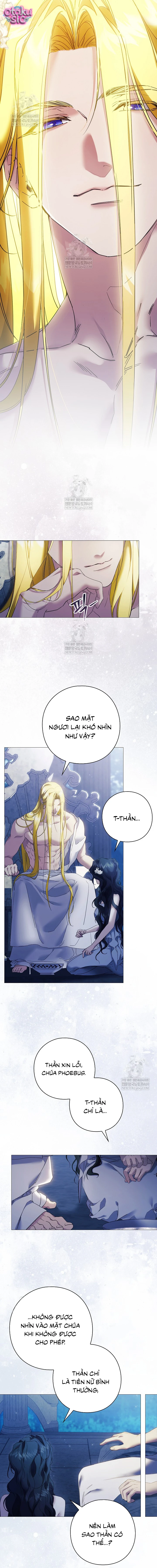 Dành Cho Nữ Thần: Dành Cho Daphne - Chap 3 - Trang 5
