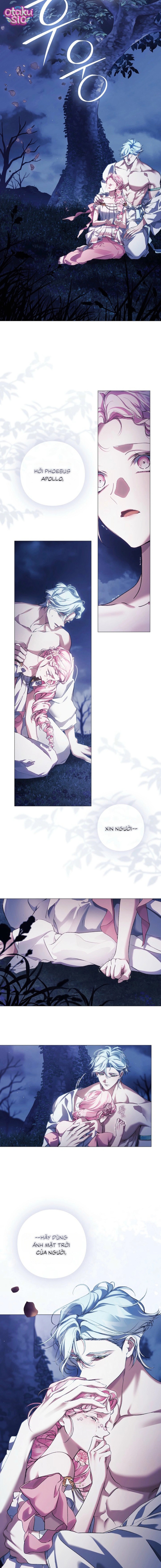 Dành Cho Nữ Thần: Dành Cho Daphne - Chap 39