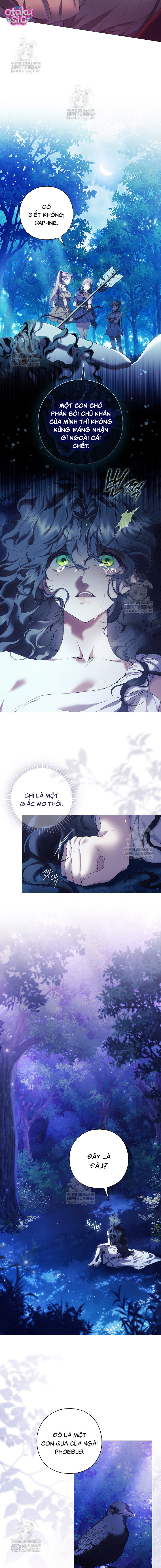 Dành Cho Nữ Thần: Dành Cho Daphne - Chap 6 - Trang 6