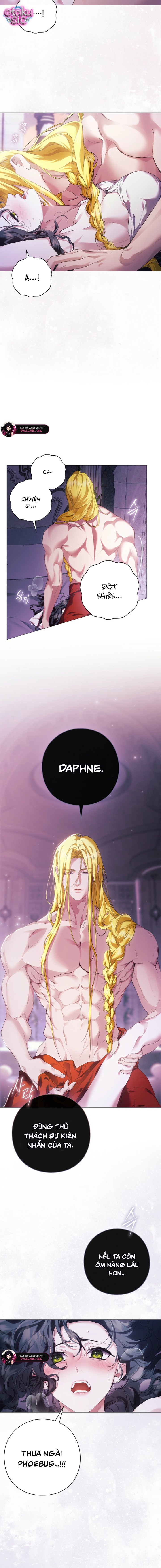 Dành Cho Nữ Thần: Dành Cho Daphne - Chap 8 - Trang 19