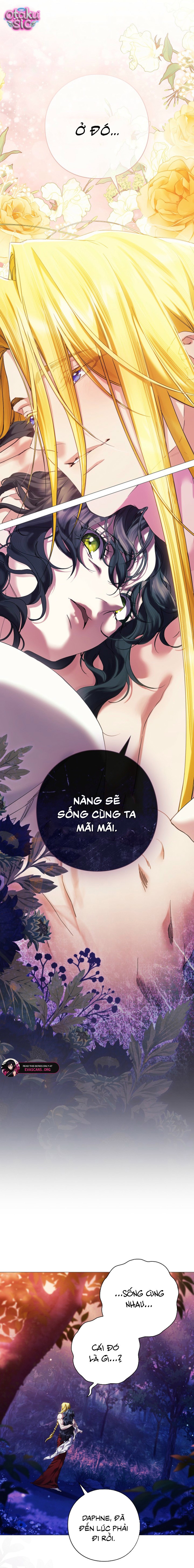 Dành Cho Nữ Thần: Dành Cho Daphne - Chap 8 - Trang 2