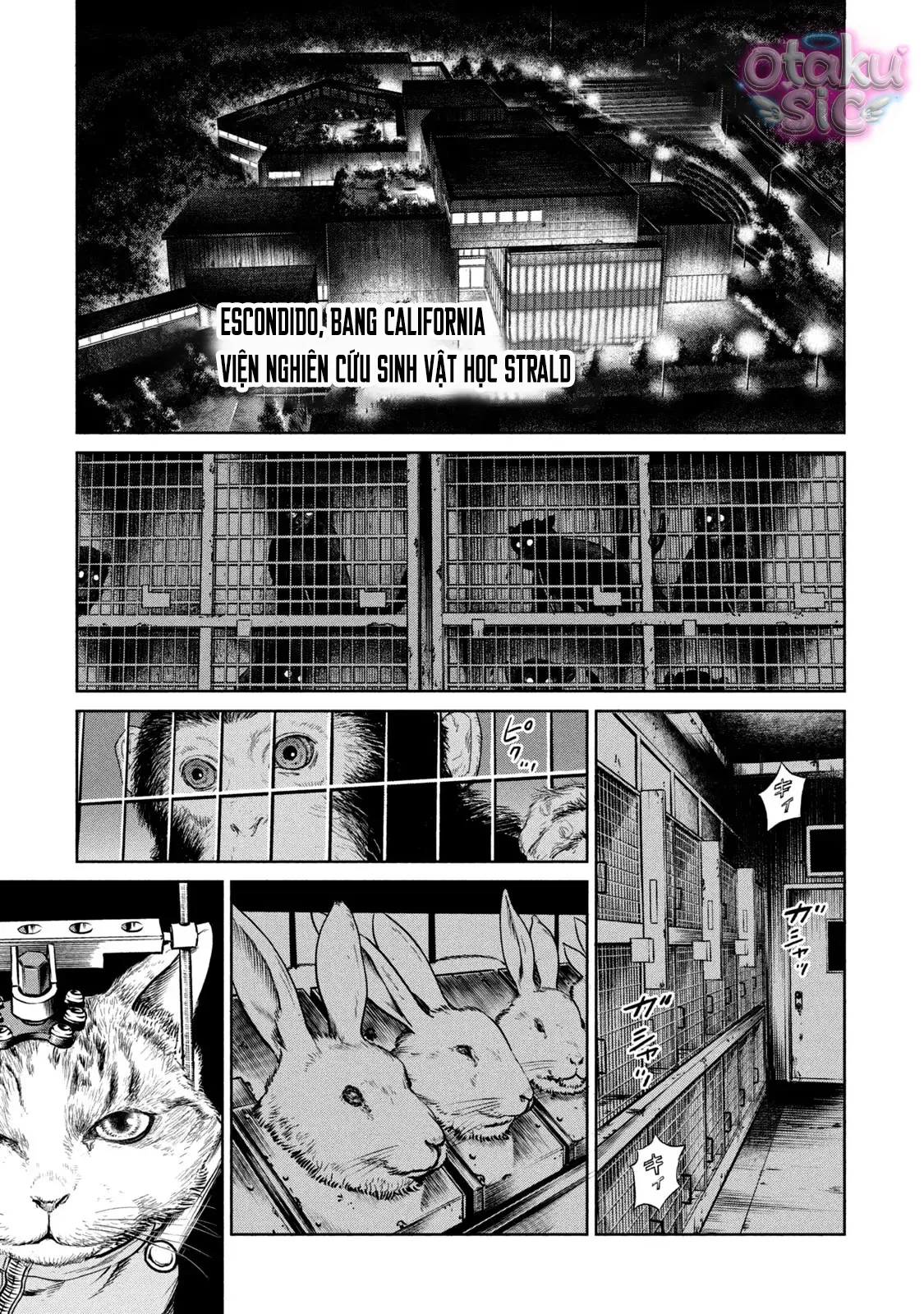 Darwin Jihen - Chap 1 - Trang 5