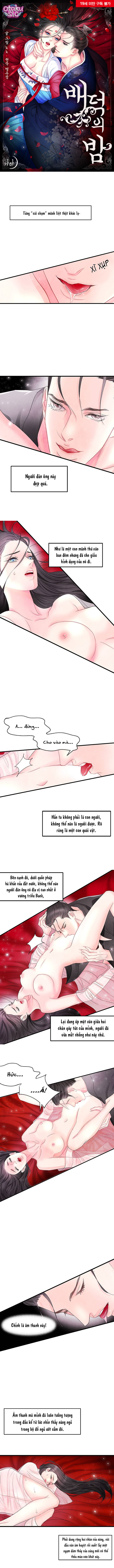 Đêm Hoang Dại - Chap 5 - Trang 2