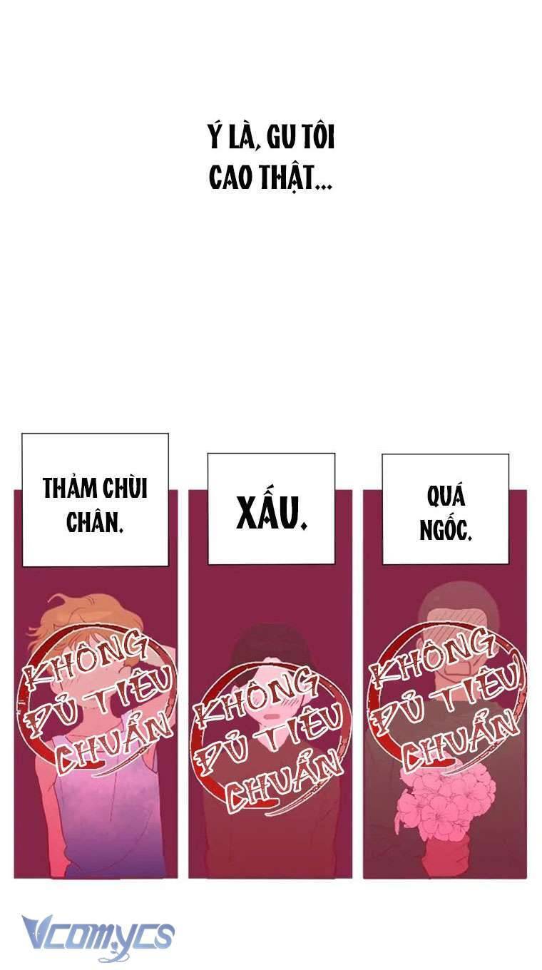 Điều Ước Sao Băng - Chap 1 - Trang 11