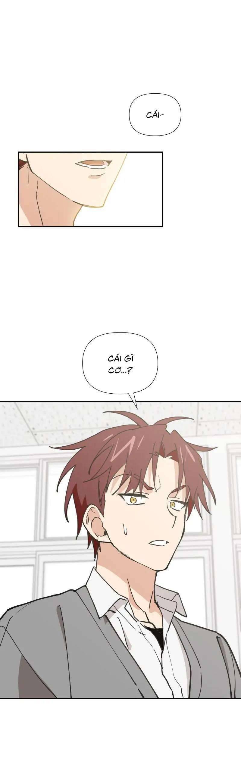 Điều Ước Sao Băng - Chap 10 - Trang 2