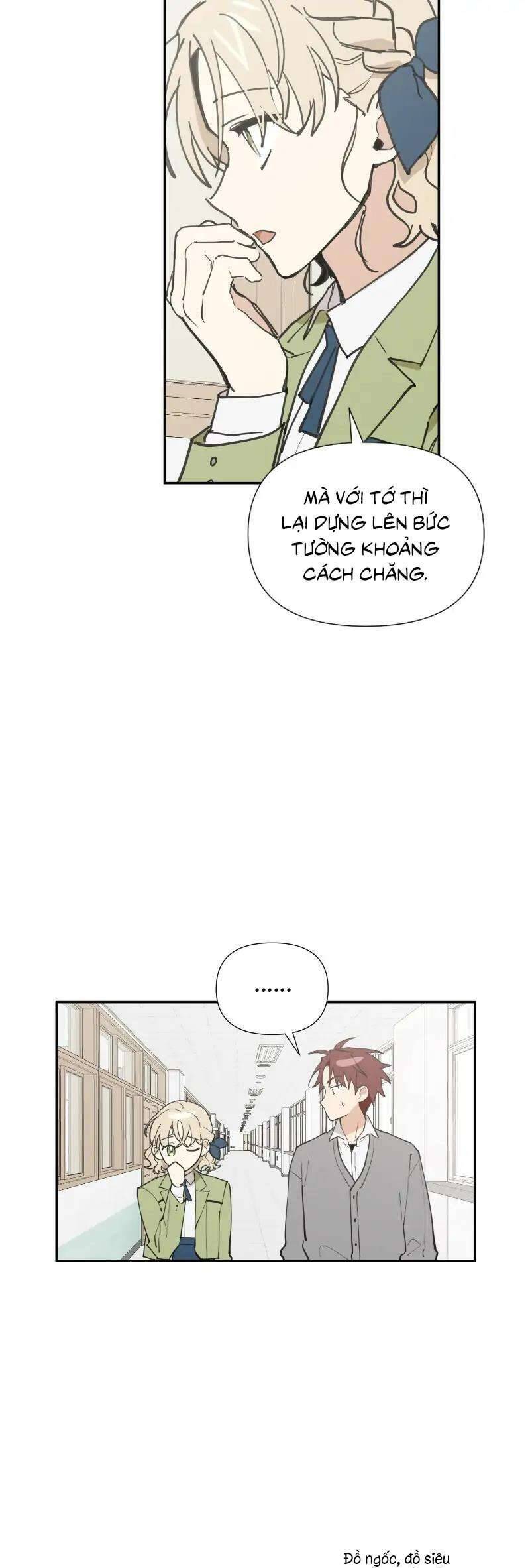 Điều Ước Sao Băng - Chap 10 - Trang 4