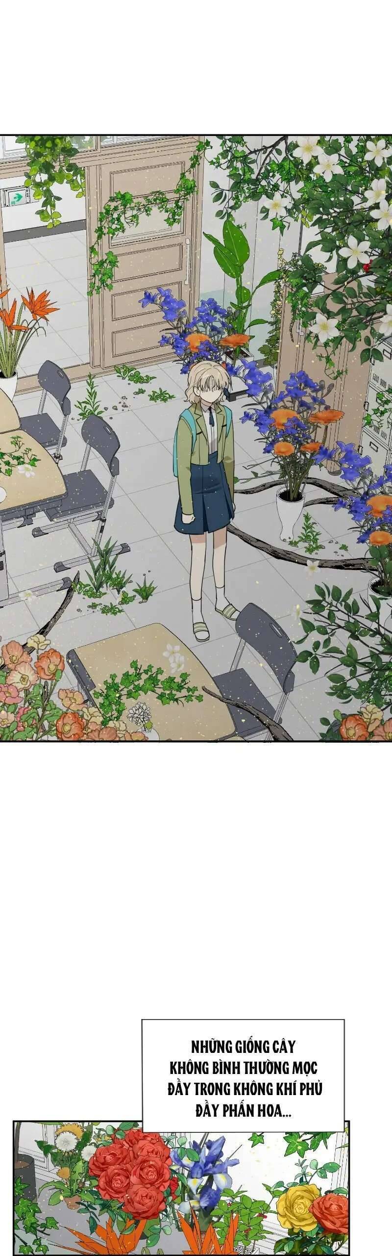 Điều Ước Sao Băng - Chap 11 - Trang 1