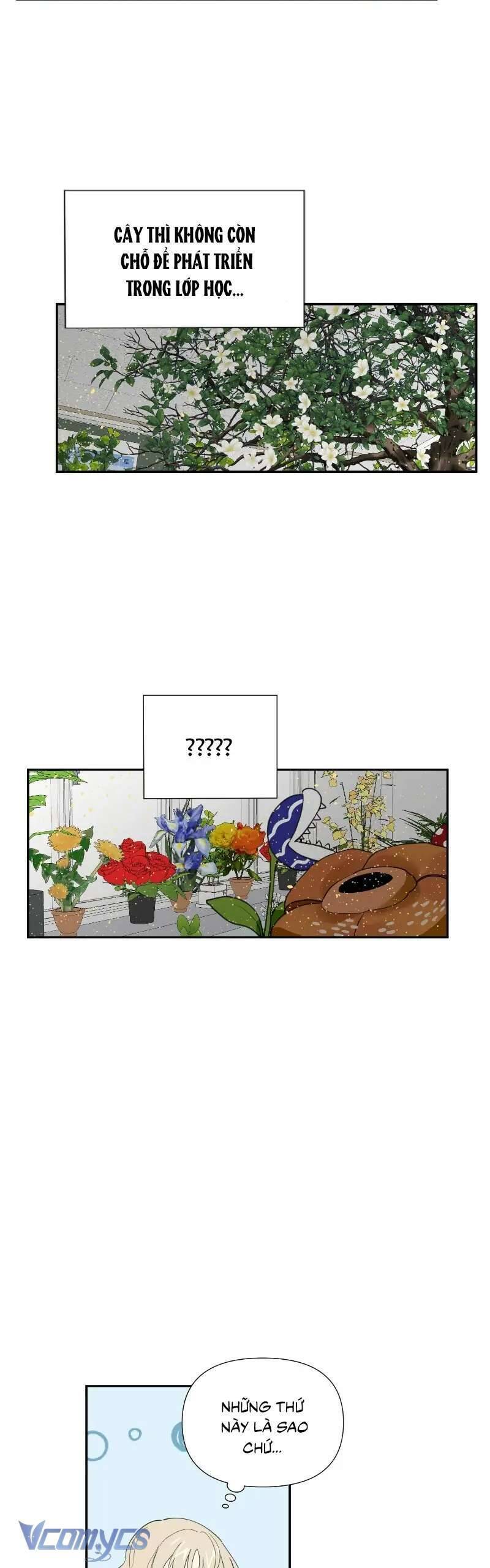 Điều Ước Sao Băng - Chap 11 - Trang 2