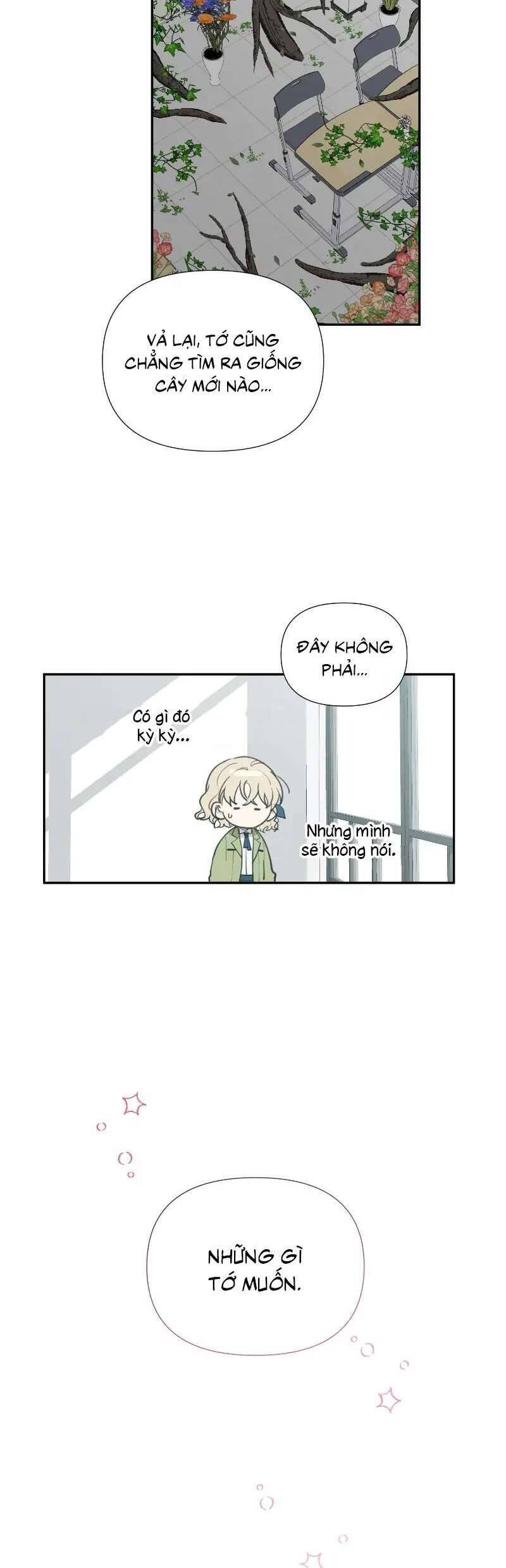 Điều Ước Sao Băng - Chap 11 - Trang 32