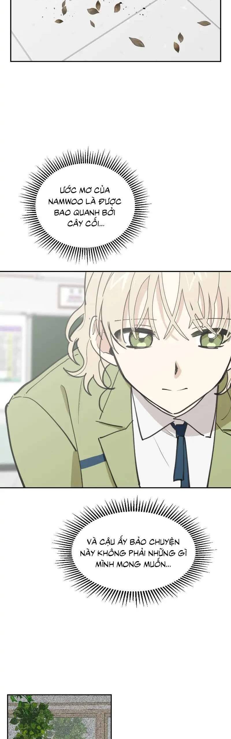 Điều Ước Sao Băng - Chap 12 - Trang 3
